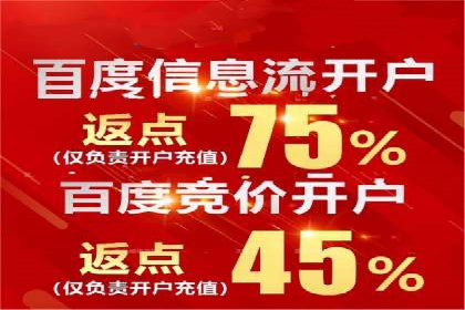 百度推广与SEO结合案例：提升网站排名的技巧